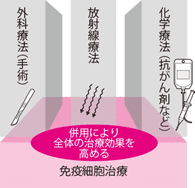 そもそも免疫療法とは