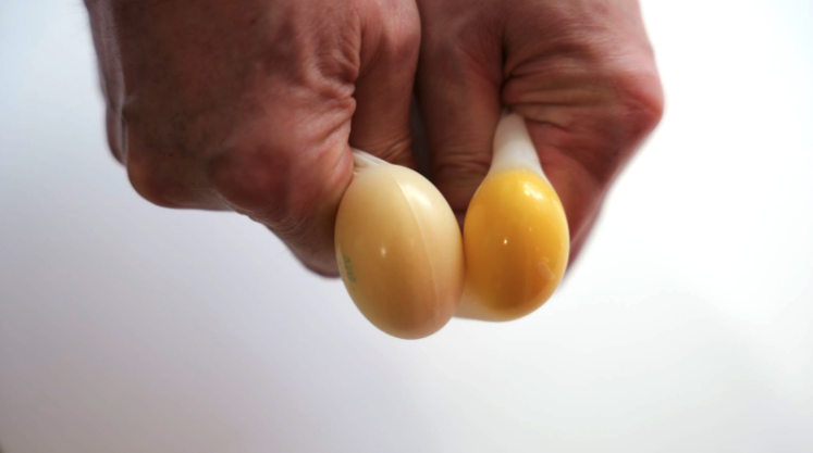 精巣は左が小さい