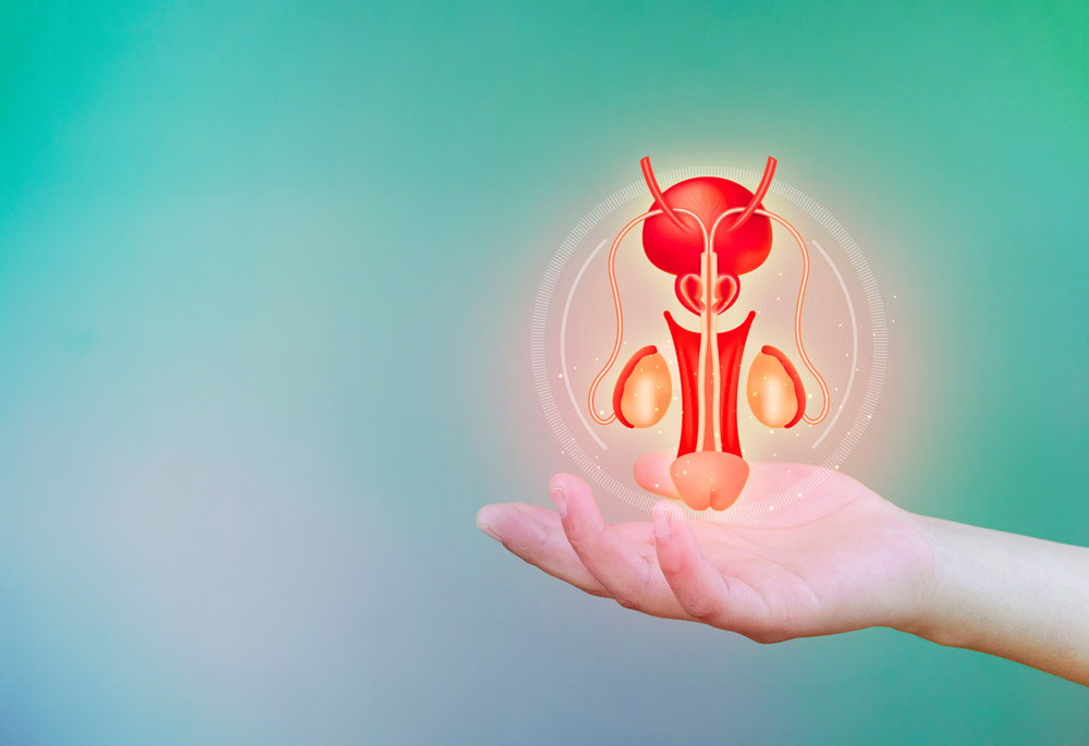 精索静脈瘤の検査とは？当院の検査方法について